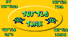 Turtle Trax