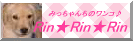 RinRinRin