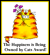 Happiness is Being Owned by Cats!