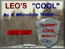 Leo's Cool Award