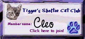 Tigger's Shelter Cats Club