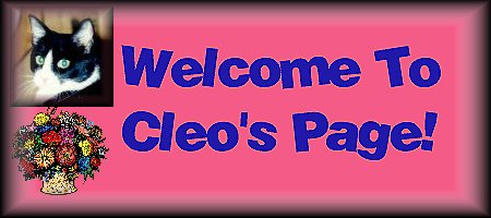 Welcome to Cleo's Page!