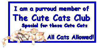 The Cute Cats Club