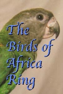 Birds of Africa