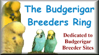 Budgerigar Breeders Ring