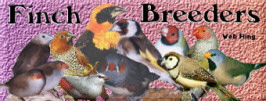 Finch Breeders Ring