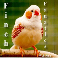 Finch Fanatics Webring