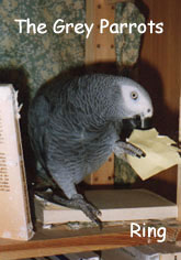 The Grey Parrots Ring