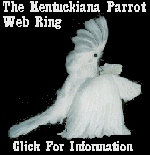 The Kentuckiana Parrot Web Ring