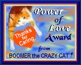 Boomer's Award