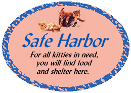 Safe Harbor