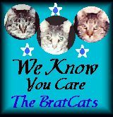 bratcats award