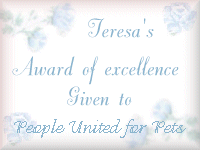 Teresa's Award of Excellence