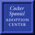 cocker spaniel adoption center