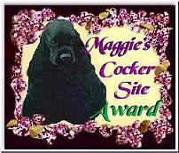 Maggie's Award