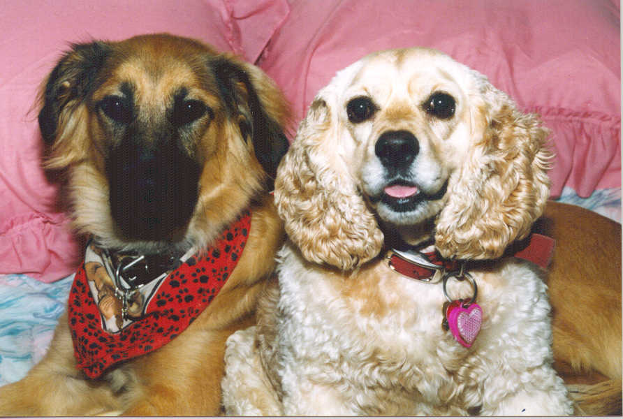 Maxie and Lady - September 1998