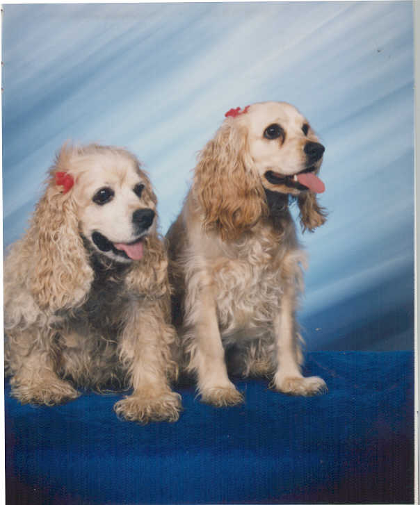 Lucky & Lady, 1993