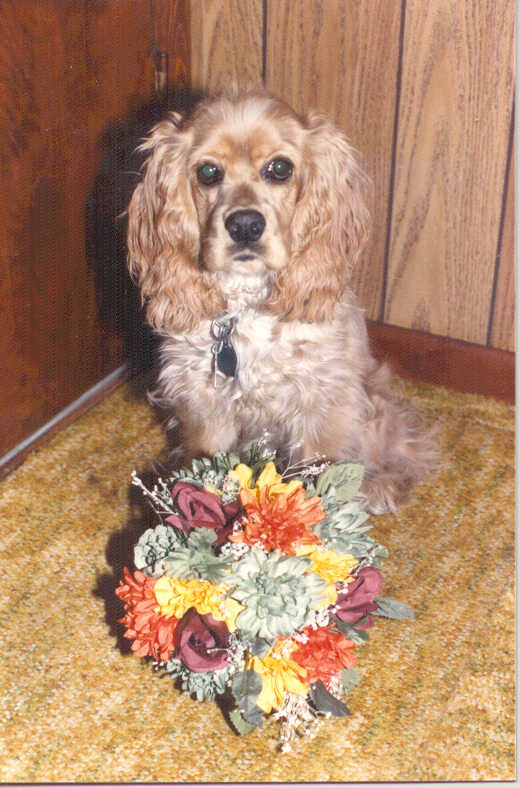 Lucky with Flowers, 1984