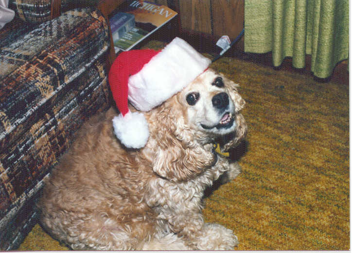 Lucky as Santa, 1992