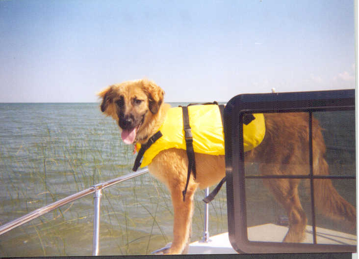 Let's Go Boating...NOW!