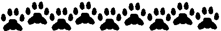 pawline.gif (2486 bytes)