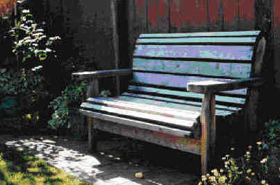 The Bench