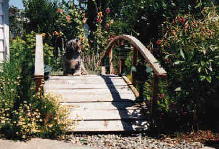 Mandy on bridge