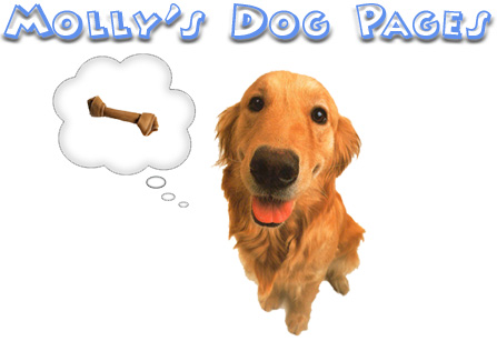 Welcome to Molly's Dog Pages!