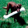 A 24" rawhide bone is fun for a puppy