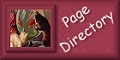 Page Directory