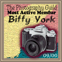 Most Active Member, September, 2000