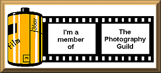 The Photography Guild