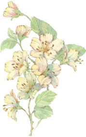 [Dogwood from Lady Dj]