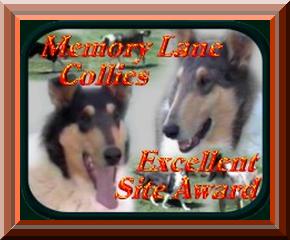 Memory Lane Collie Award