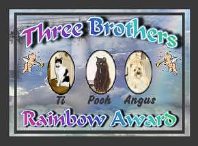 Three Brothers Award