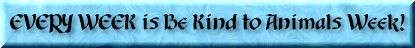 Be Kind To Animals Banner