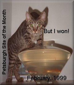 Petsburgh Febuary Site of the Month