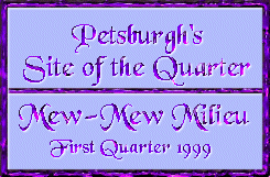 Petsburgh site of the Quarter, first quater 1999