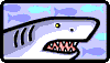 shark