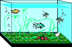 aquarium