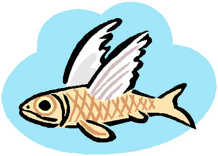 flying fish