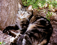 Nicky in the shade