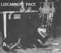 LISCANNOR PACE