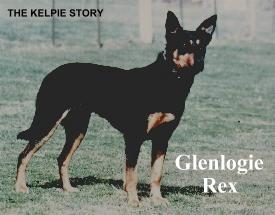 GLENLOGIE REX