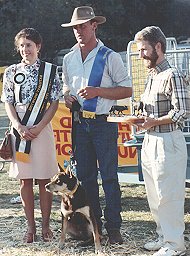 NOONBARRA BUTCH WINS NSW STATE CHAMPION/ Photo: Stephen Bilson