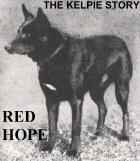 KEMP'S RED HOPE