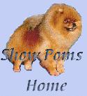 Show Poms Home