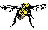 bee