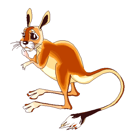 jerboa