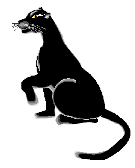 panther